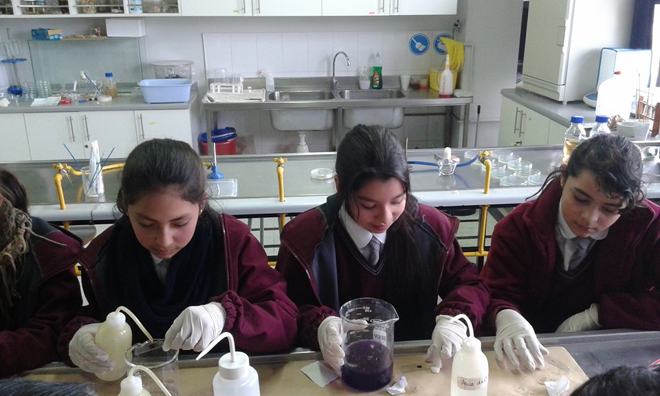Escuela Palestina Escuela Palestina