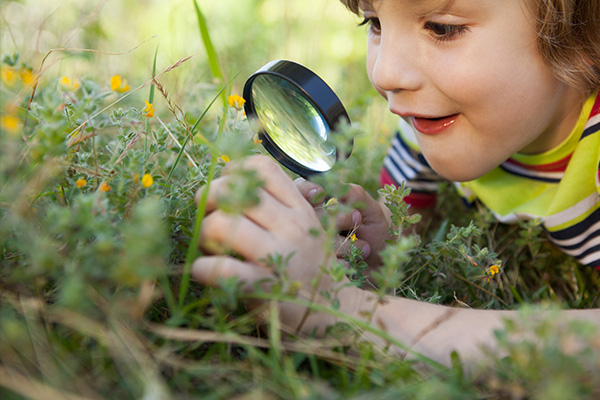 Exploración del entorno La imagen muestra a un niño recostado en el pasto mirando flores con una lupa