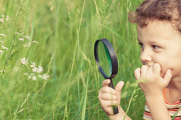 Explorar La imagen muestra a un niño con una lupa observando flores