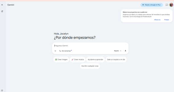 Gemini (Google)