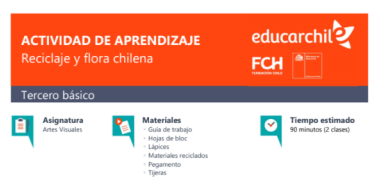Reciclaje y flora chilena